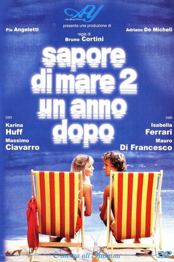 Locandina: Sapore di mare 2 - Un anno dopo